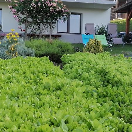 Apartma Na Ravnicah ツェルクノ エクステリア 写真