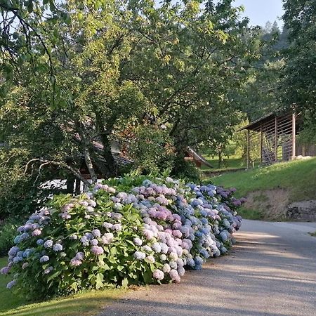 Apartma Na Ravnicah ツェルクノ エクステリア 写真