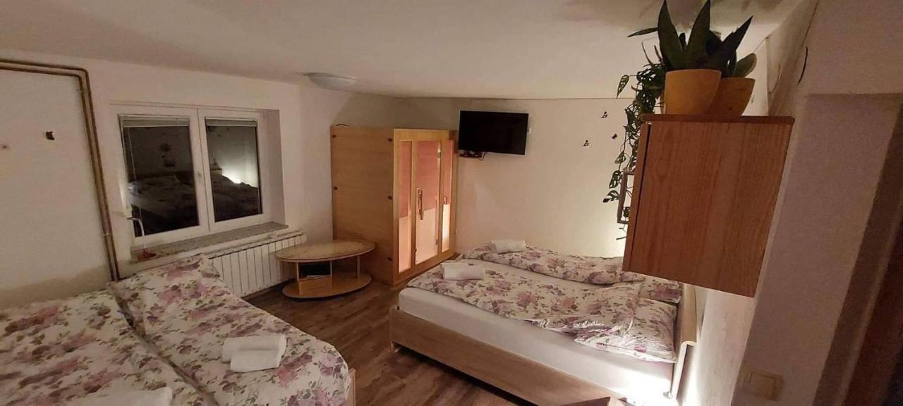 Apartma Na Ravnicah ツェルクノ エクステリア 写真