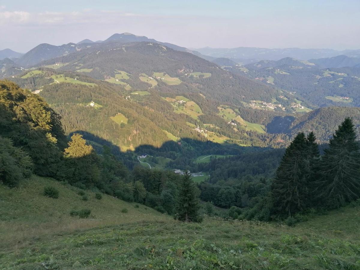 Apartma Na Ravnicah ツェルクノ エクステリア 写真