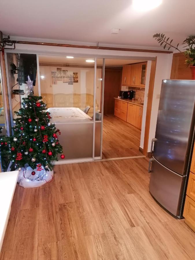Apartma Na Ravnicah ツェルクノ エクステリア 写真