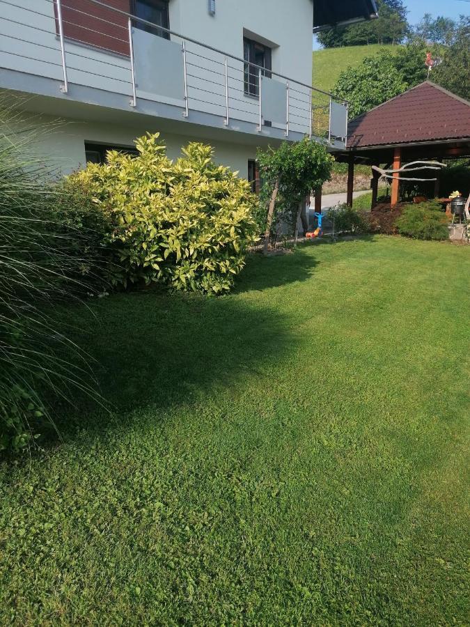 Apartma Na Ravnicah ツェルクノ エクステリア 写真