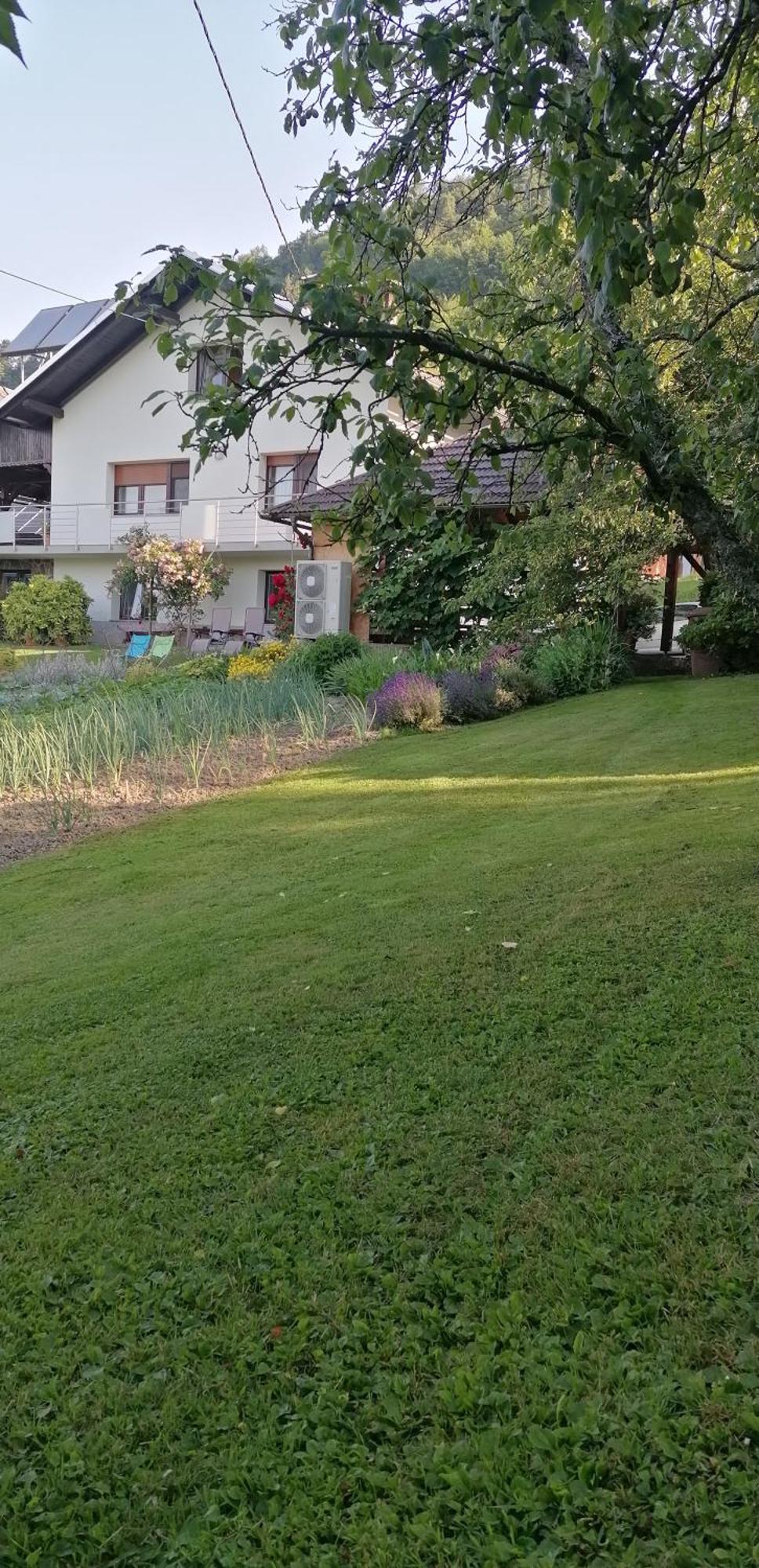 Apartma Na Ravnicah ツェルクノ エクステリア 写真