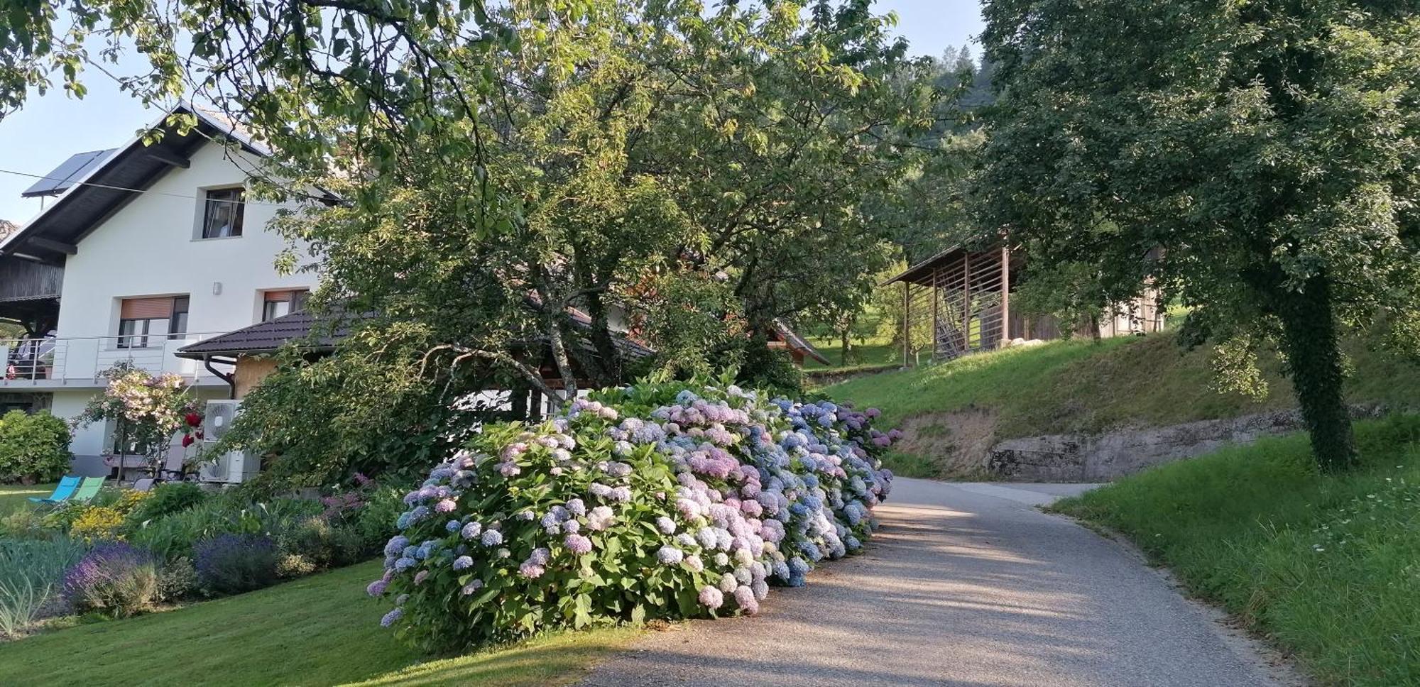 Apartma Na Ravnicah ツェルクノ エクステリア 写真